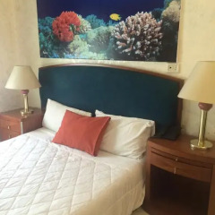 New Park Hotel 2* Стандартный номер с двуспальной кроватью фото 12