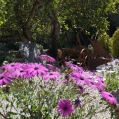 Отель Agroturisme Perola - Adults Only фото 9