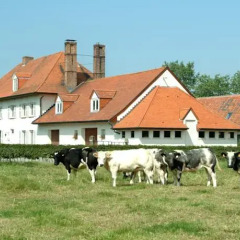 Отель Holiday Home De Colve с домашними животными