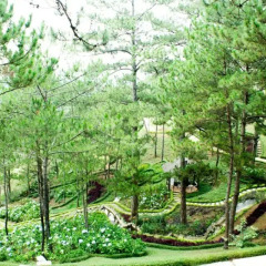 Отель Rừng Hoa Đà Lạt Далат приотельная территория