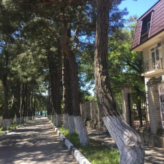 Гостиница Gelendzhik Hotel в Большом Геленджике 1 отзыв об отеле, цены и фото номеров - забронировать гостиницу Gelendzhik Hotel онлайн Большой Геленджик фото 3
