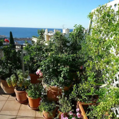 Отель Appartement Baie des Anges фото 3