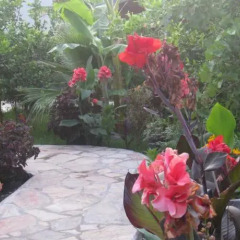 Отель Cirali Almira Bungalow фото 5