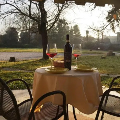 Отель Villa Olanda Италия, Мира - отзывы, цены и фото номеров - забронировать отель Villa Olanda онлайн балкон