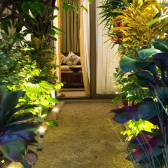 Отель Villa Alizée 3* Люкс с различными типами кроватей фото 3