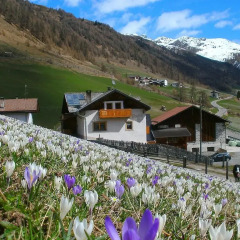 Отель Padoellhof Горнолыжный курорт Ортлер приотельная территория