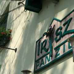 Отель Risz Panzi 3* Стандартный номер с различными типами кроватей
