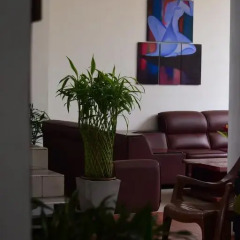 Lake Wave Hotel Стандартный номер с различными типами кроватей фото 6