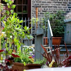 Отель Townhouse Dublin детские мероприятия фото 2