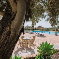 Quinta dos Poetas Nature Hotel & Apartments бассейн фото 3