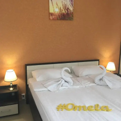 Гостиница Omela Family Апартаменты с различными типами кроватей фото 19