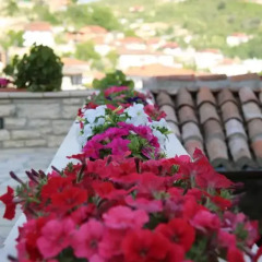 Отель Vila Aleksander Албания, Берат - отзывы, цены и фото номеров - забронировать отель Vila Aleksander онлайн фото 13