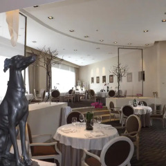 Отель Royal Pedregal Мехико помещение для мероприятий