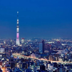 Отель Mandarin Oriental Tokyo Токио фото 4