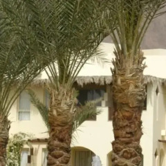 Отель Taba Paradise Resort
