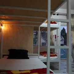 Dalat Backpackers Hostel Кровать в общем номере фото 14