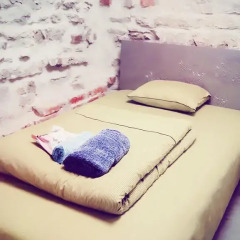 Отель Quiet stay in Tallinn комната для гостей фото 4