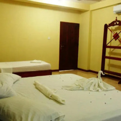 Alsevana Ayurvedic Tourist Hotel & Restaurant Стандартный номер с 2 отдельными кроватями фото 13