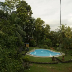 Отель Greengarden Bungalow бассейн фото 2