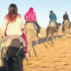 Отель Bivouac Karim Sahara Марокко, Загора - отзывы, цены и фото номеров - забронировать отель Bivouac Karim Sahara онлайн приотельная территория