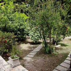 Отель Casa Vacanze Medea Сиракуза фото 15