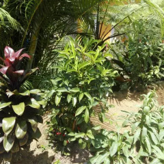Hotel A5 фото 8