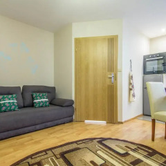 Отель Apartamenty Emma Закопане комната для гостей фото 2