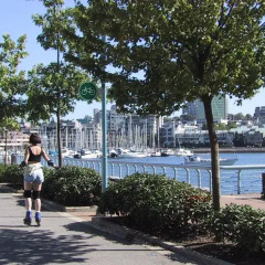 Отель City View Yaletown Studio Канада, Ванкувер - отзывы, цены и фото номеров - забронировать отель City View Yaletown Studio онлайн спортивное сооружение