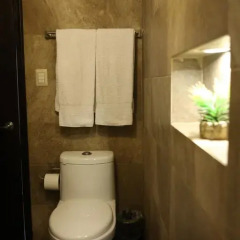 Hotel Raffaello 3* Номер Делюкс с различными типами кроватей фото 3