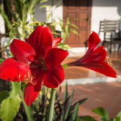 Mylaohome Hotel & Spa 3* Улучшенный номер с различными типами кроватей фото 6