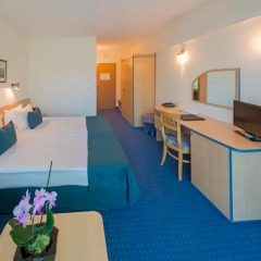 Holiday Park Hotel 4* Стандартный номер с различными типами кроватей