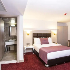 Perla Arya Hotel 4* Стандартный номер с различными типами кроватей фото 4