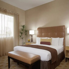 Elan Hotel 3* Представительский номер с различными типами кроватей
