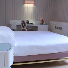 Hotel Albani Firenze 4* Улучшенный номер с различными типами кроватей фото 5