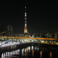 Asakusa hotel Hatago фото 3