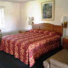 Отель 99 Palms Inn & Suites 2* Стандартный номер с двуспальной кроватью фото 6
