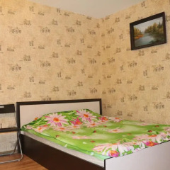 Гостиница Next to Molodezhnaya subway в номере