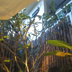 The Wave Patong Boutique Hotel