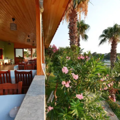 Patara Delfin Hotel Турция, Патара - отзывы, цены и фото номеров - забронировать отель Patara Delfin Hotel онлайн питание фото 2