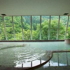 Hotel Kurobe бассейн
