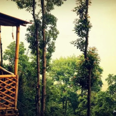 Отель Kathmandu Eco Hostel Непал, Катманду - отзывы, цены и фото номеров - забронировать отель Kathmandu Eco Hostel онлайн фото 6