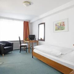 Hotel Cafe am Park Стандартный номер с различными типами кроватей
