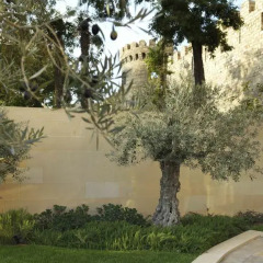 Отель Four Seasons Hotel Baku Азербайджан, Баку - 5 отзывов об отеле, цены и фото номеров - забронировать отель Four Seasons Hotel Baku онлайн фото 12