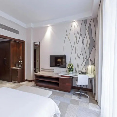 Отель Novotel Congress Krasnaya Polyana 3* Стандартный номер