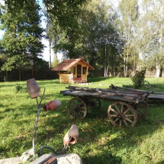 Гостиница Cottage In Kirillovo в Пушкинских Горах отзывы, цены и фото номеров - забронировать гостиницу Cottage In Kirillovo онлайн Пушкинские Горы фото 2