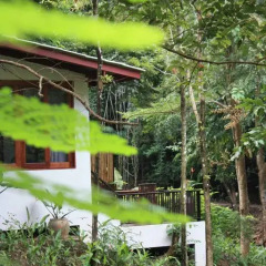 Отель SriLanta Resort 4* Вилла с различными типами кроватей фото 15