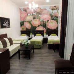 Hotel Zvezdnyi развлечения