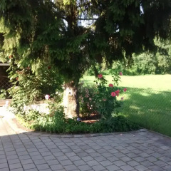 Отель Gästehaus Brunnerhof фото 3