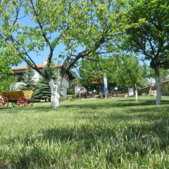 Отель Guest House Debar Велико Тырново фото 2