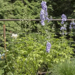 Отель Chalet De Ultimis Сан-Панкрацио спортивное сооружение